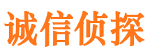 眉山市侦探